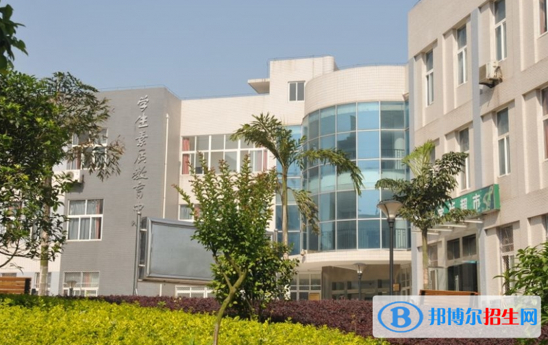 重庆单招智慧健康养老服务与管理专业2023年有哪些学校