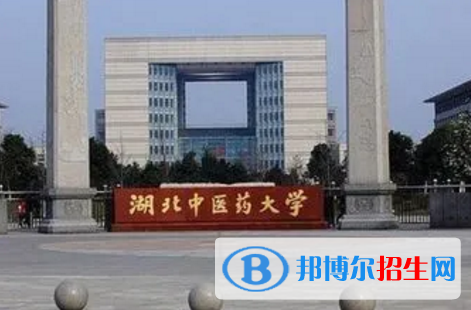 湖北的大学的大学排名名单一览表