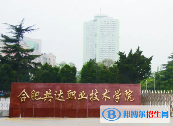 2023年安徽单招民办学校名单