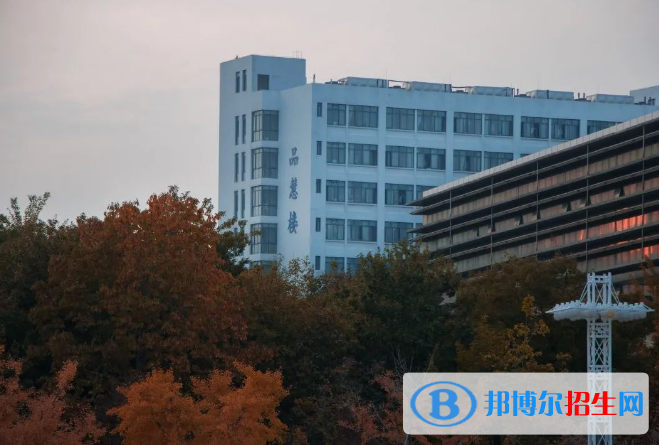 山东省大学排名2022最新排名：软科、校友会最新版完整排名一览