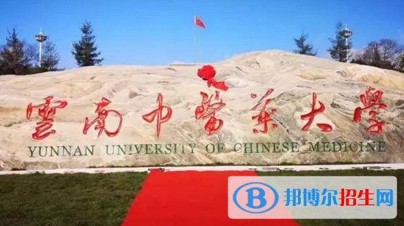 云南中医药大学是不是985大学?