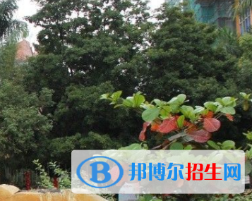 岭南师范学院附中2022录取分数线 (2023参考)