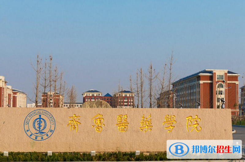 2023年山东单招民办学校名单