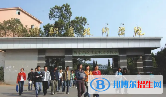 绵阳职业技术学院有哪些中外合作办学专业?(附名单)