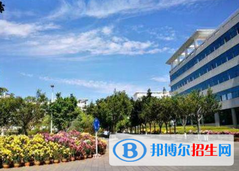 楚雄师范学院是不是985大学?