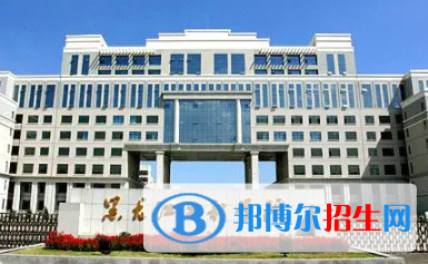 黑龙江工程学院是不是双一流大学？