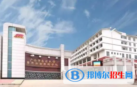 广西中医药大学赛恩斯新医药学院各省录取分数2022是多少分？