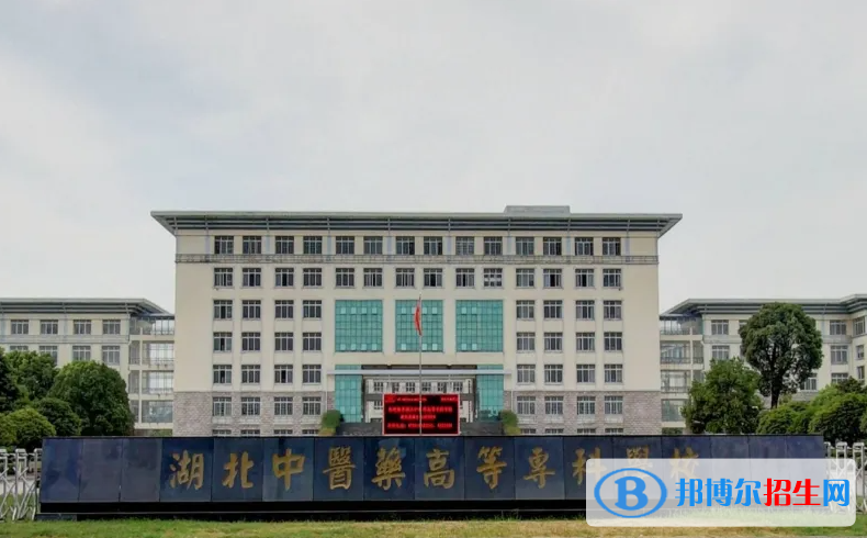 上海高考210分左右可以报考什么学校（2023报考参考）