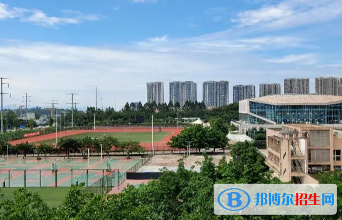 四川单招财政专业2023年有哪些学校