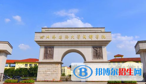 四川单招民航空中安全与保卫专业2023年有哪些学校