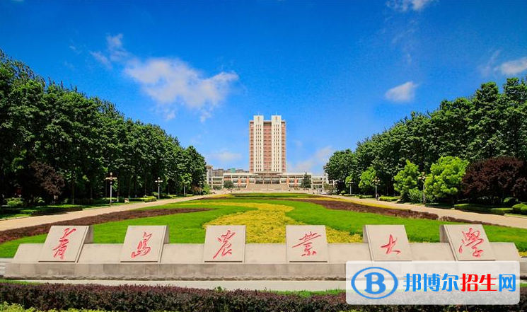 青岛农业大学有哪些中外合作办学专业？（附名单）