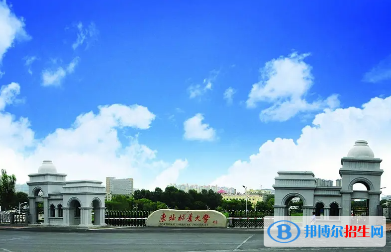 东北林业大学有哪些中外合作办学专业？（附名单）