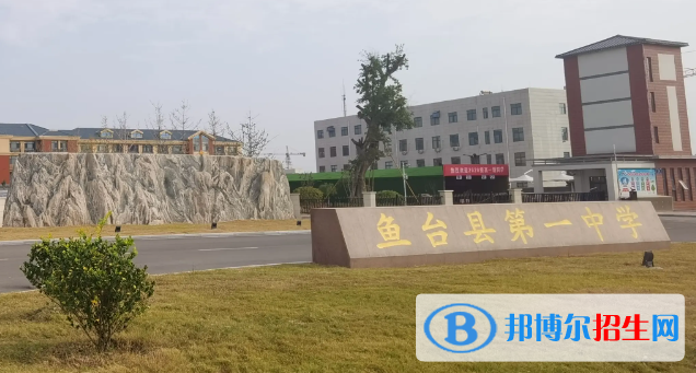 鱼台中考2022录取分数线