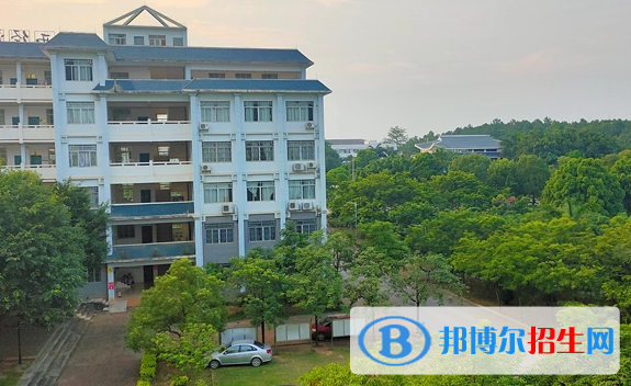 广西单招国际商务（跨境报关）专业2023年有哪些学校