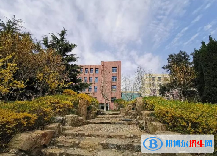 山东财经大学东方学院是不是985大学？