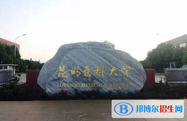 昆明医科大学有哪些中外合作办学专业？（附名单）