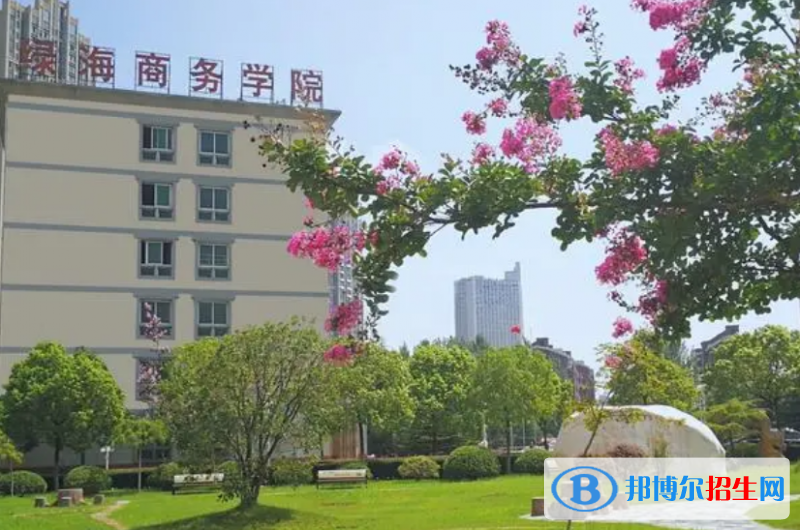 安徽单招旅游英语专业2023年有哪些学校
