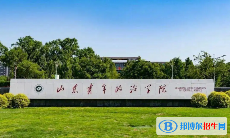 山东青年政治学院有哪些中外合作办学专业？（附名单）