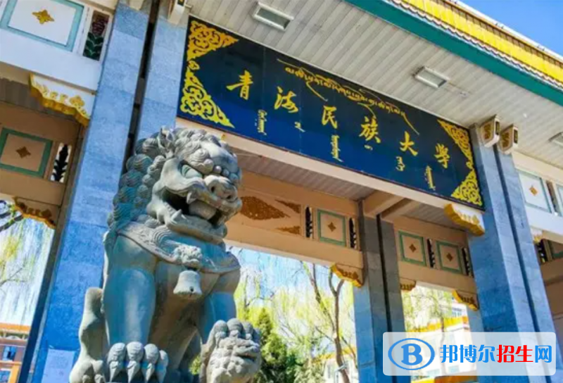 青海民族大学有哪些中外合作办学专业？（附名单）