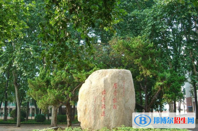 叶县高中录取分数线(2022叶县高中)