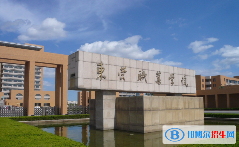东营职业学院有哪些中外合作办学专业？（附名单）