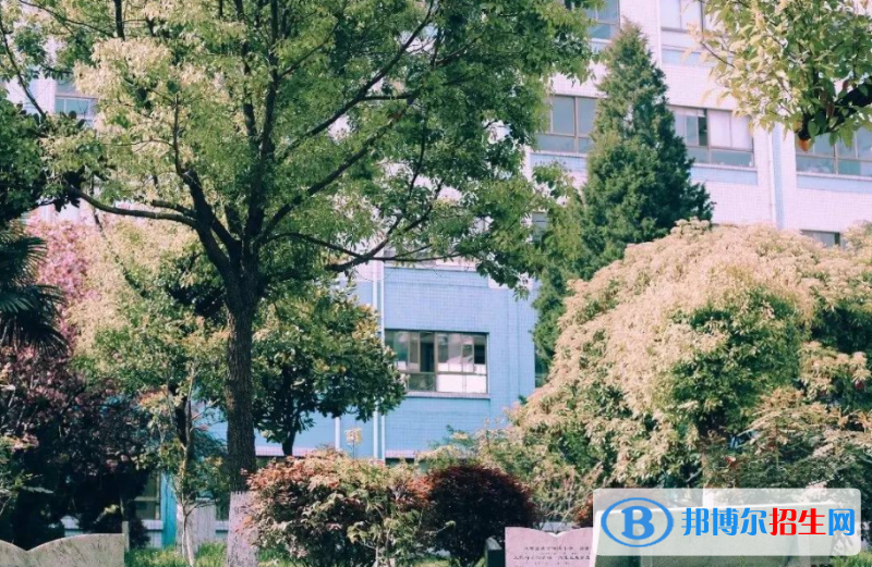 射阳二中2022录取分数线(2023参考)