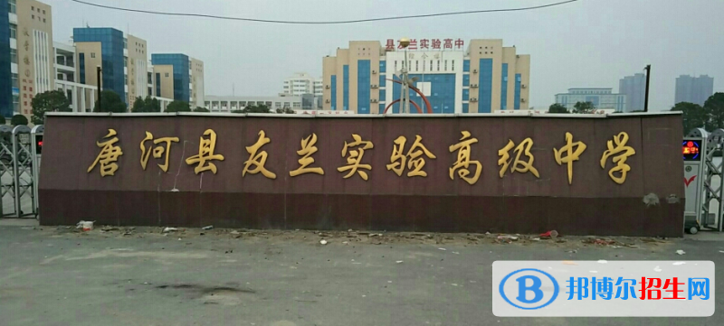 唐河县友兰实验高中录取分数线(2022唐河县友兰实验高中)