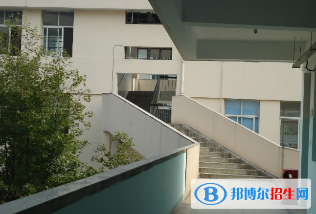 瑞安八中、瑞安九中2022录取分数线（2023参考）