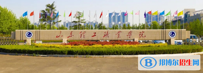 山东理工职业学院有哪些中外合作办学专业？（附名单）