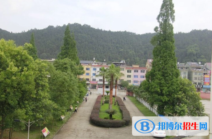 庆元县濛洲高中录取分数线(2022庆元县濛洲高中)