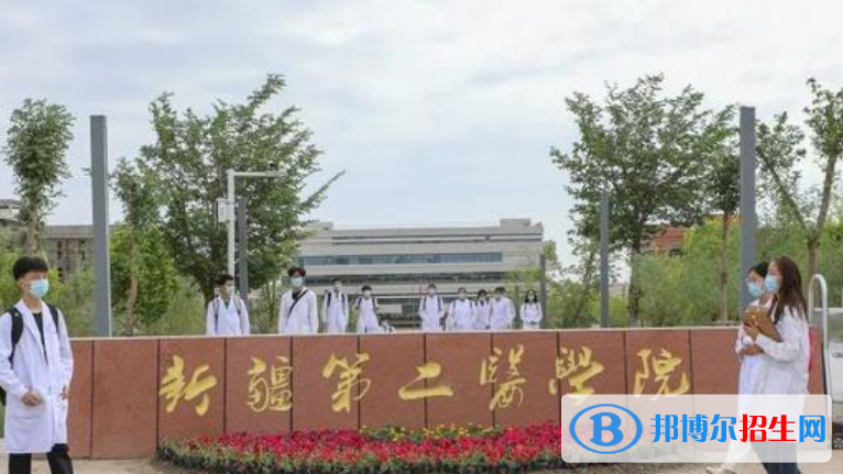 新疆第二医学院是不是双一流大学？