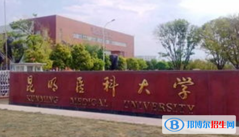 昆明医科大学是不是双一流大学？