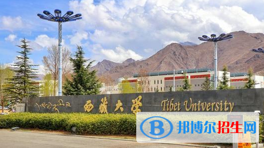 西藏211大学有哪些学校?(西藏211大学）