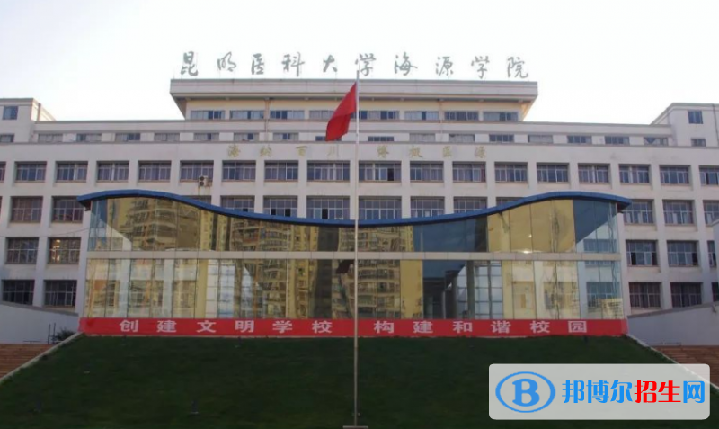昆明医科大学海源学院是不是双一流大学