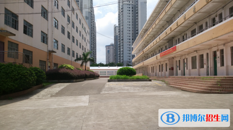 2023来宾中考成绩查询入口和方法
