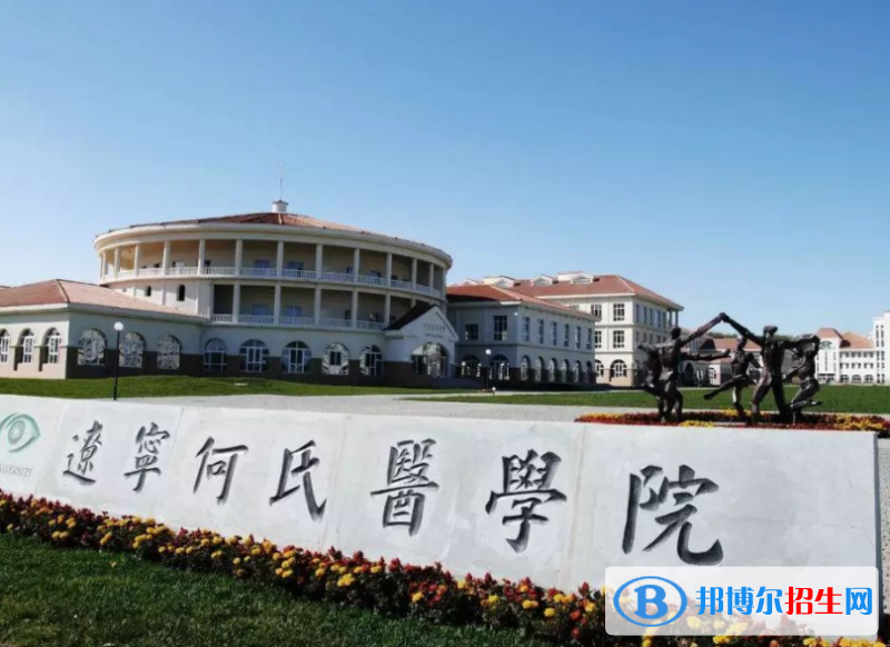 辽宁何氏医学院是几本？是985和211吗？