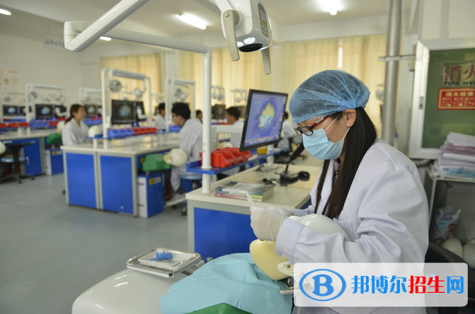 女生的十大高薪专业排行榜
