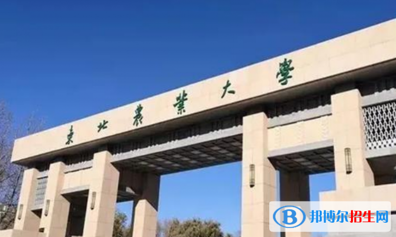 东北农业大学是几本？是985和211吗？