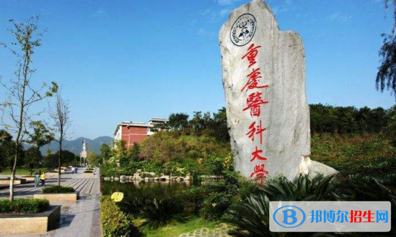 重庆医科大学是几本？是985和211吗？