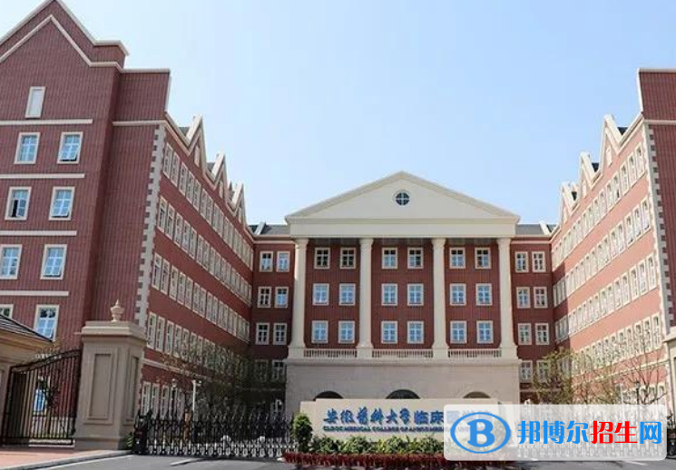 安徽医科大学临床医学院是几本？是985和211吗？