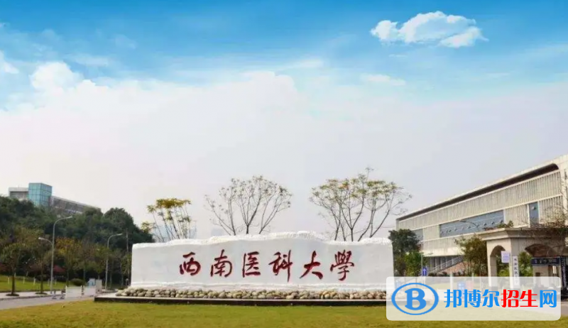 西南医科大学是几本？是985和211吗？