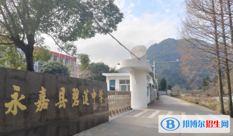 永嘉县碧莲中学2022录取分数线（2023参考）