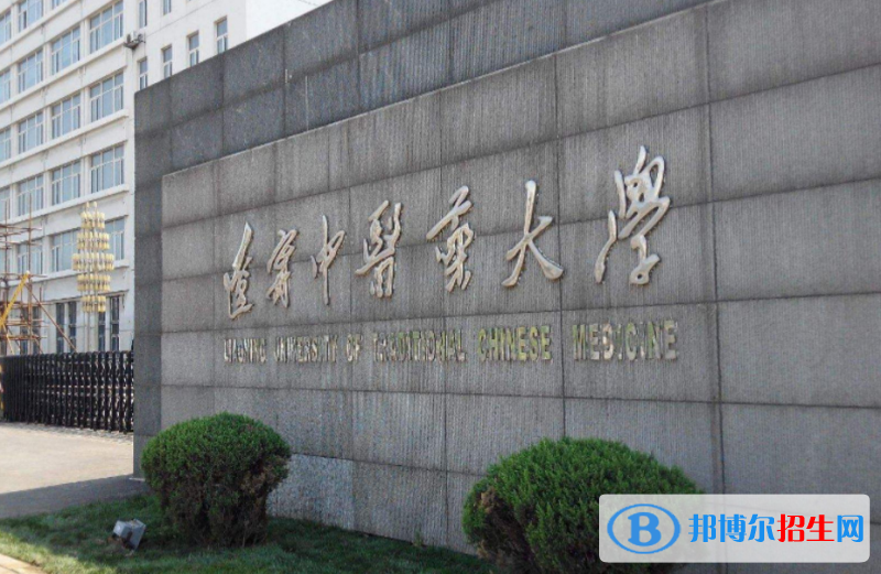 辽宁中医药大学是几本？是985和211吗？