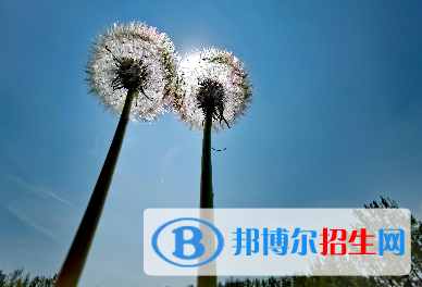 2023年西安经开职业学校有哪些专业