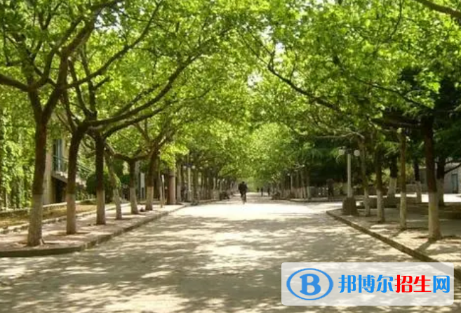 2023年山西普通高校招生艺术类表演专业统考及联考有关专业成绩揭晓