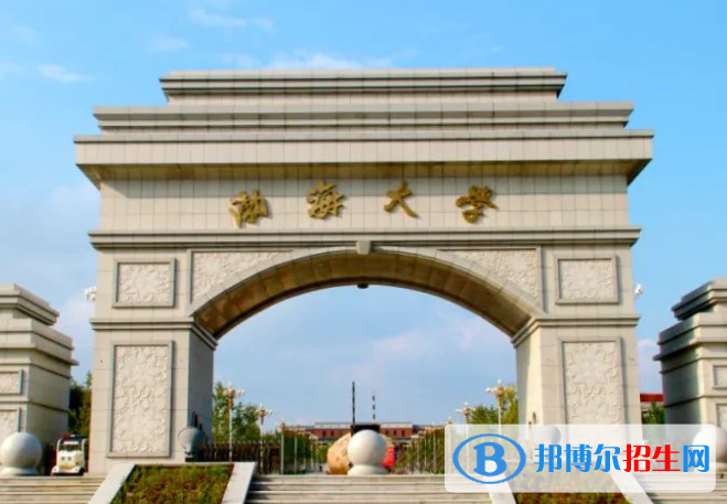 2023年渤海大学艺术类专业招生简章