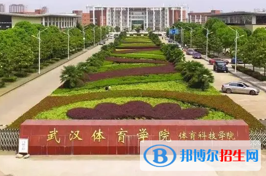 2023年武汉体育学院体育科技学院艺术类招生简章
