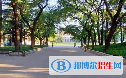 高考优秀作文:以青涩为话题（3篇）