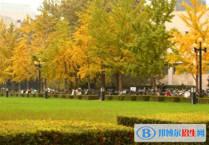 高考优秀作文:以个性为话题（5篇）