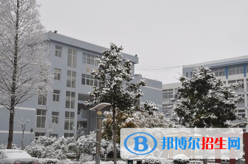界首中学2022录取分数线（2023参考）